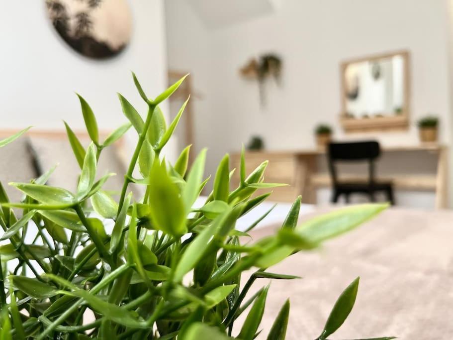 Apartamento Vive Zaragoza V 외부 사진